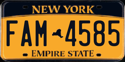 NY license plate FAM4585