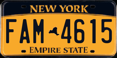 NY license plate FAM4615