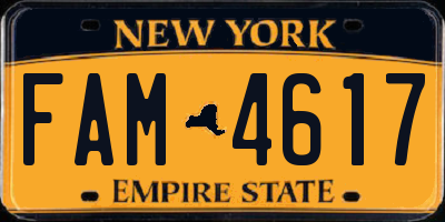 NY license plate FAM4617