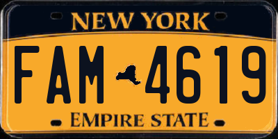 NY license plate FAM4619