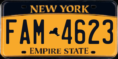 NY license plate FAM4623
