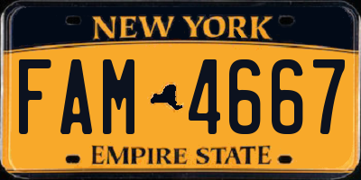 NY license plate FAM4667