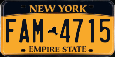 NY license plate FAM4715