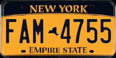 NY license plate FAM4755