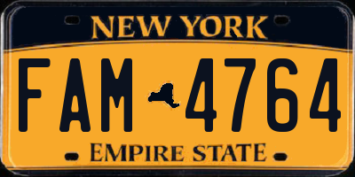 NY license plate FAM4764