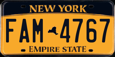 NY license plate FAM4767