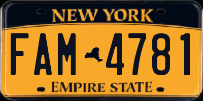 NY license plate FAM4781