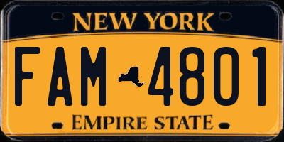 NY license plate FAM4801