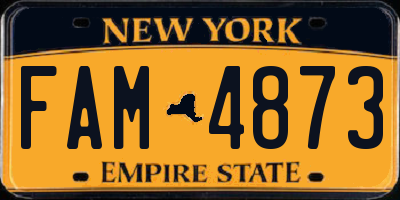 NY license plate FAM4873
