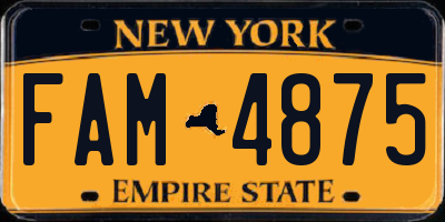 NY license plate FAM4875