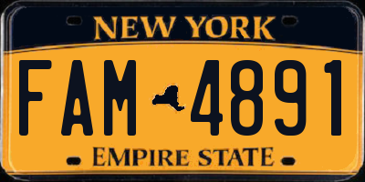 NY license plate FAM4891