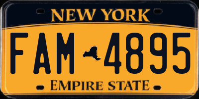 NY license plate FAM4895