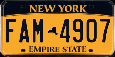 NY license plate FAM4907