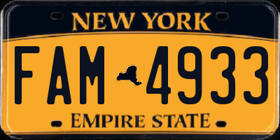 NY license plate FAM4933