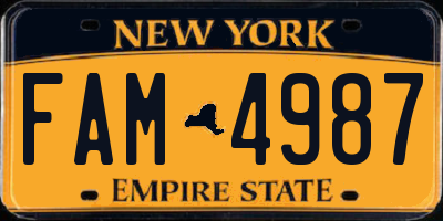 NY license plate FAM4987