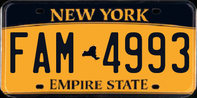 NY license plate FAM4993