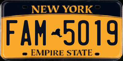 NY license plate FAM5019