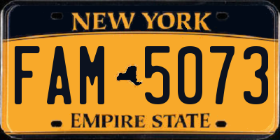NY license plate FAM5073