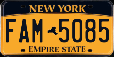 NY license plate FAM5085