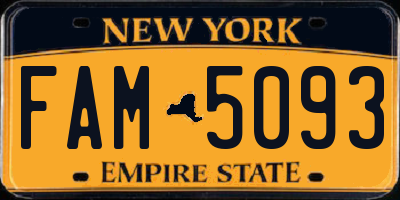 NY license plate FAM5093