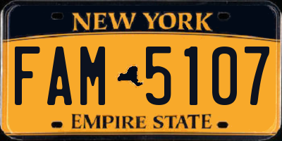NY license plate FAM5107