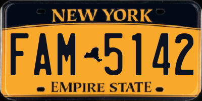 NY license plate FAM5142