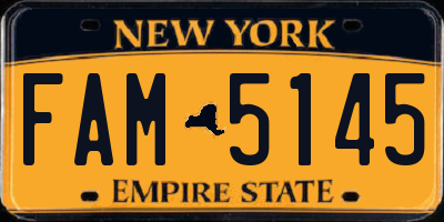 NY license plate FAM5145