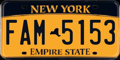 NY license plate FAM5153