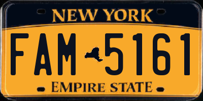 NY license plate FAM5161