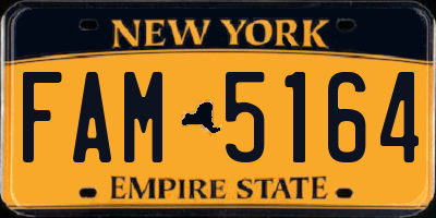 NY license plate FAM5164