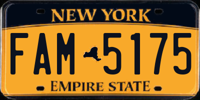 NY license plate FAM5175