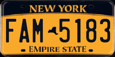 NY license plate FAM5183