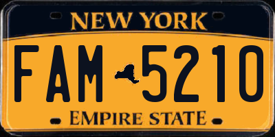 NY license plate FAM5210