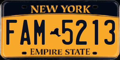 NY license plate FAM5213