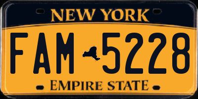 NY license plate FAM5228