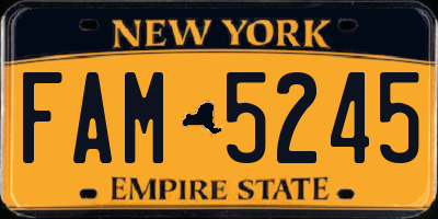NY license plate FAM5245