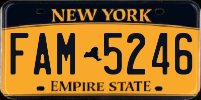 NY license plate FAM5246