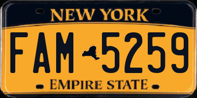 NY license plate FAM5259
