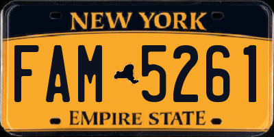 NY license plate FAM5261