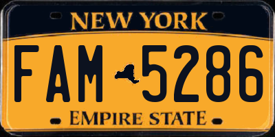 NY license plate FAM5286