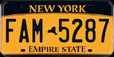 NY license plate FAM5287