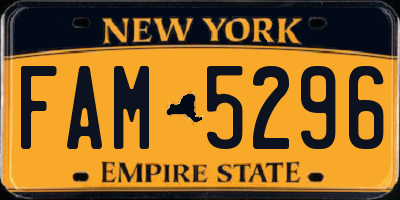 NY license plate FAM5296