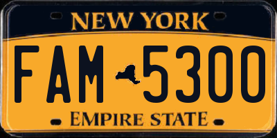 NY license plate FAM5300