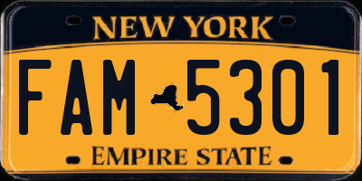 NY license plate FAM5301