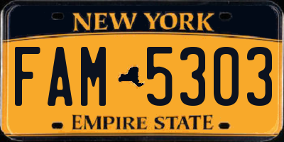 NY license plate FAM5303