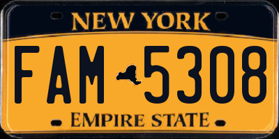 NY license plate FAM5308