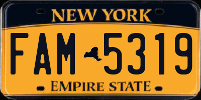 NY license plate FAM5319
