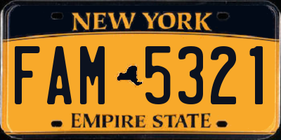 NY license plate FAM5321