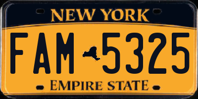 NY license plate FAM5325