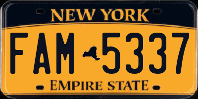 NY license plate FAM5337